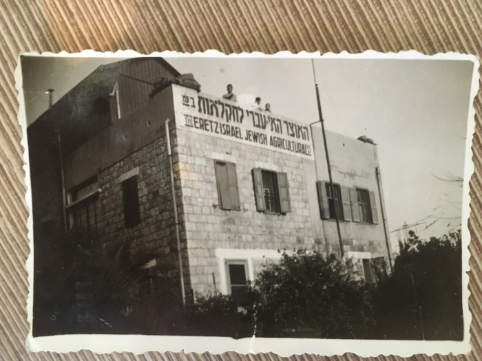 משק האוצר