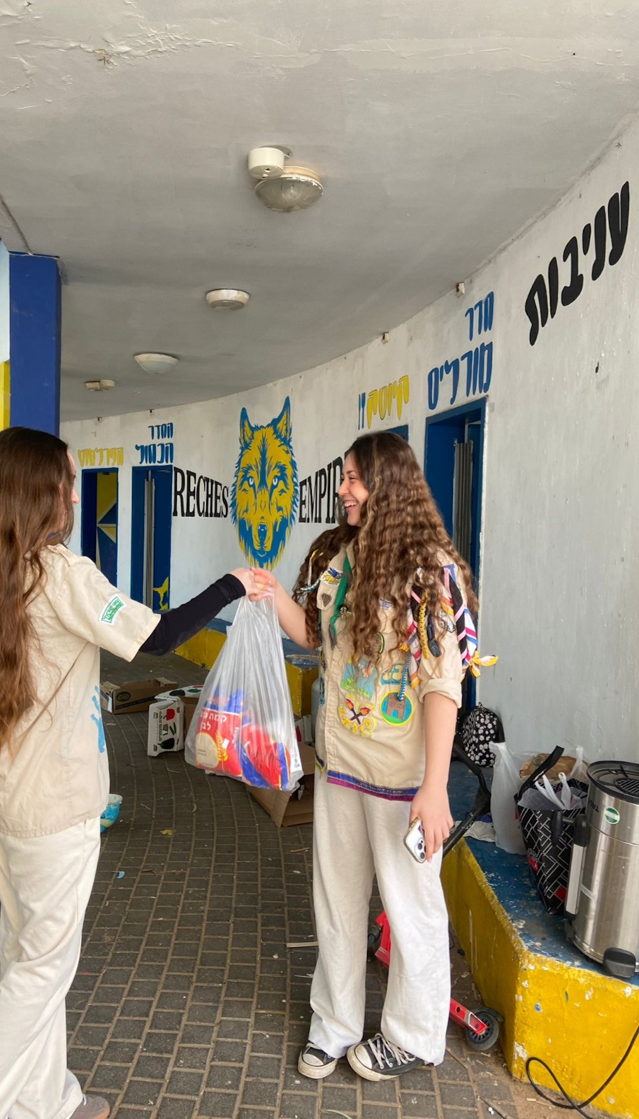 פעילות תנועות הנוער למען הקהילה