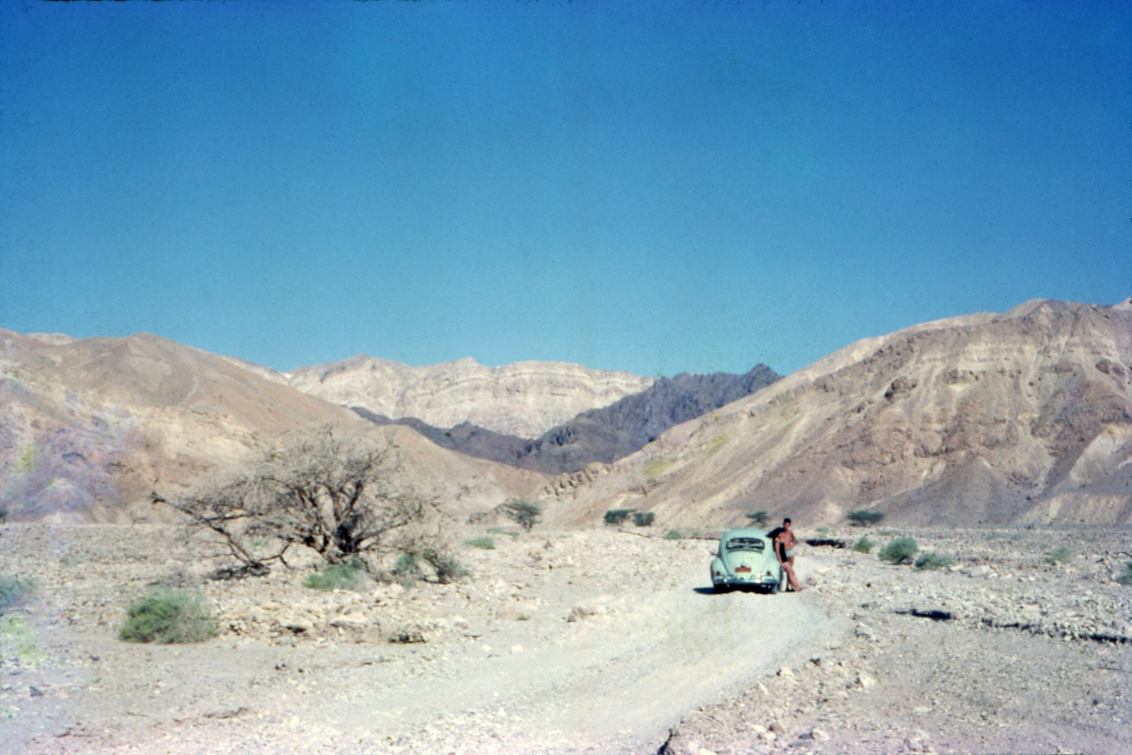 תמונה מתוך התערוכה קו הצחיחות