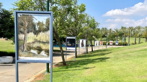 תמונות מתערוכת אומן בעירו על שם צפי בירן בפארק כפר סבא