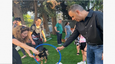 גינת כלבים קטנים ברחוב גאולה בעיר כפר סבא