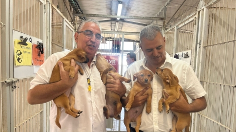 ראש העיר כפר סבא וראש העיר רעננה בכלבייה העירונית המשותפת