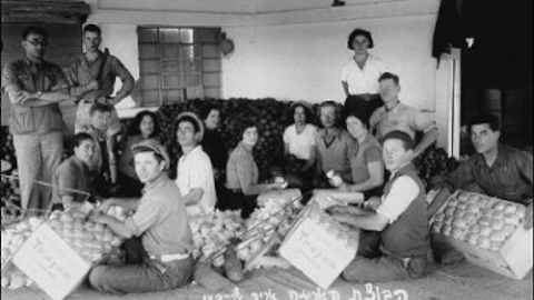 קבוצת האריזה אריה שרייבמן תרצב.jpg