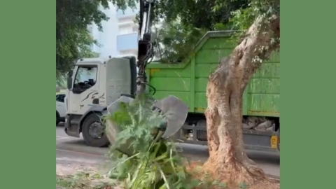 פינוי גזם ופסולת מוצקה בעיר כפר סבא