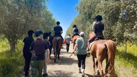 פעילות היחידה לקידום נוער בכפר סבא