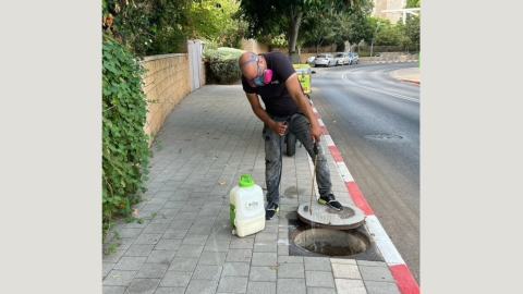 מבצע הדברה עירוני בשנה שעברה בעיר כפר סבא