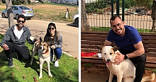 בעקבות משבר הקורונה: ביקוש שיא לאימוצים בכלביה העירונית
